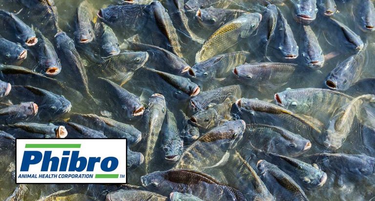 Phibro acquires Israeli fish vaccine developer