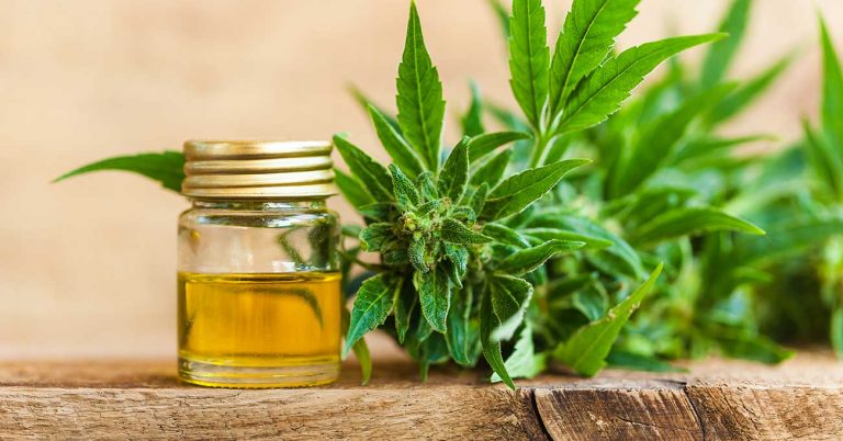 Most Veterinarians Not Ready for ‘The CBD Talk’