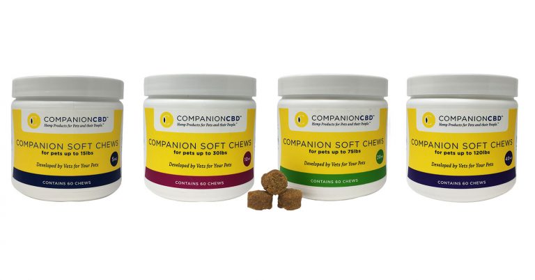Veterinarian Launches Cannabidiol Soft Chews for Pets