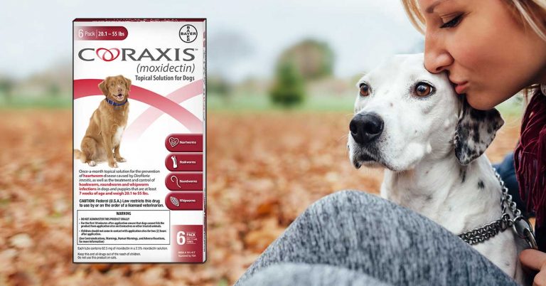 Bayer Launches Coraxis Topical Heartworm Preventive