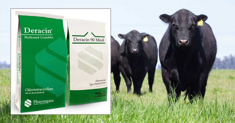Pharmgate Launches Deracin Medicated Cattle Feed