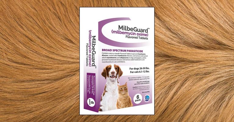 Ceva Launches Heartworm Preventive MilbeGuard