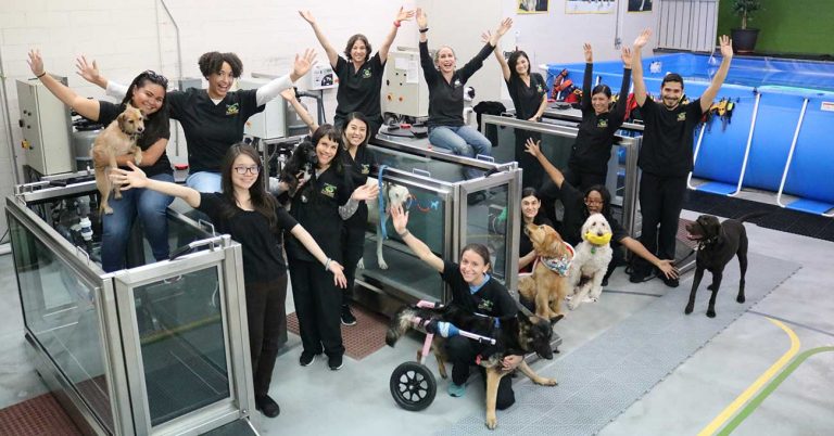 Pet Rehab Center Expands Hydrotherapy Program