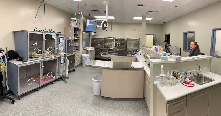 N.J. veterinary hospital completes major expansion