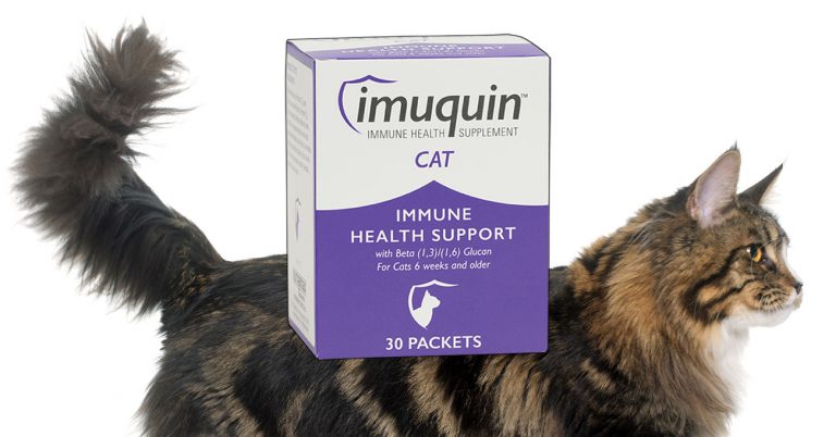 Nutramax releases Imuquin Cat supplement