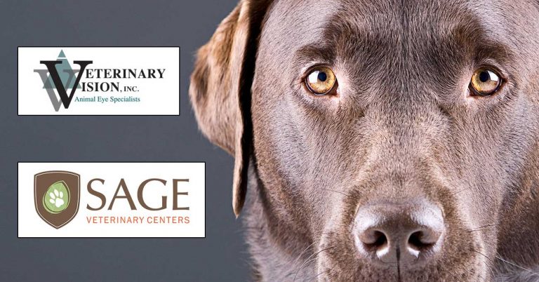 SAGE hospitals partner with Veterinary Vision