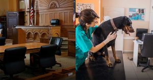 courtroom and exam room