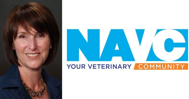 NAVC welcomes VP of professional and community relations