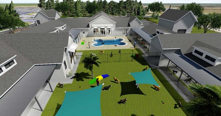 Pets can bask in paradise at Florida facility