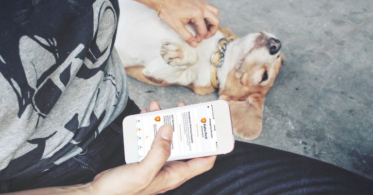 BabelBark introduces Alpha Pack subscription
