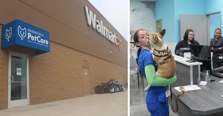 Veterinary clinic opens in Texas Walmart store