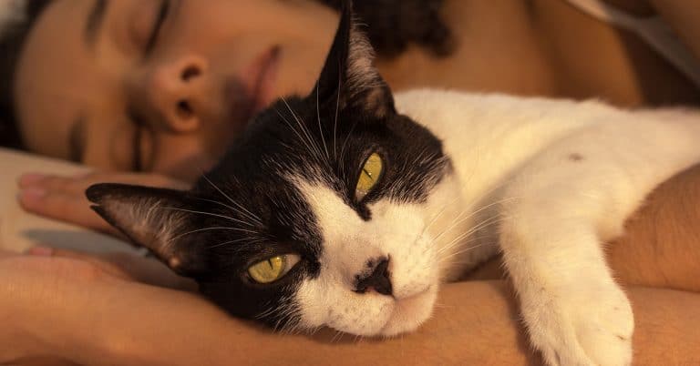 Zoetis becomes first Human-Animal Bond Certified Company