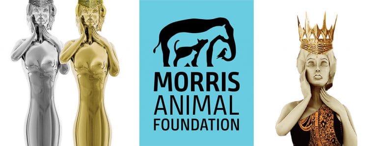 Morris’ promotional work wins Muse Creative Awards