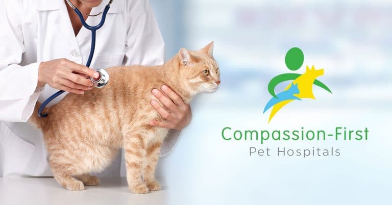 Compassion-First promotes executives, adds hospital