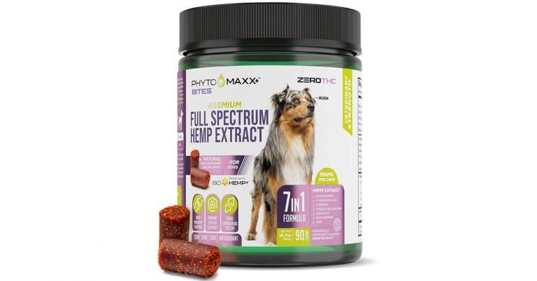 Veterinary-exclusive CBD supplement is released
