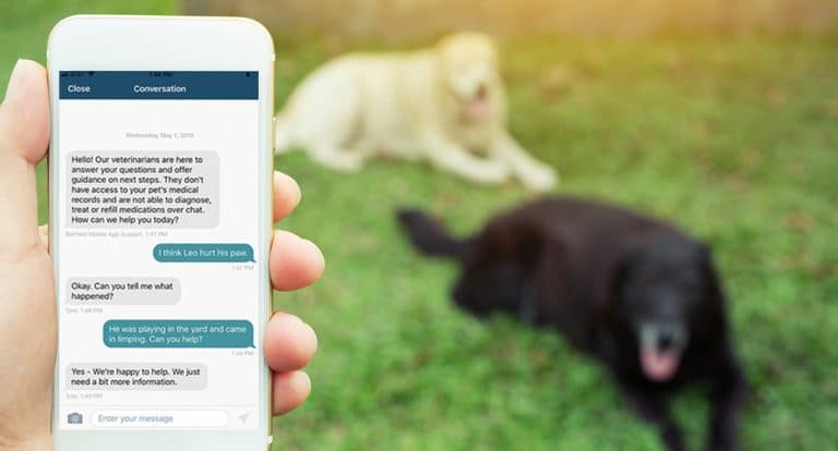 Banfield launches Vet Chat telehealth service