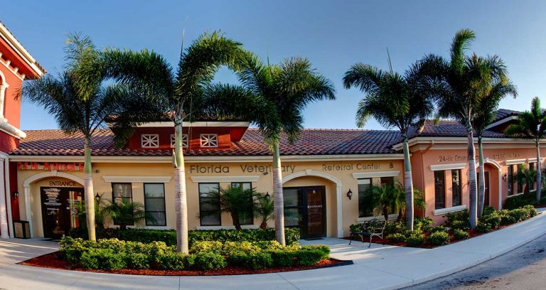 Compassion-First acquires hospitals in Texas, Florida