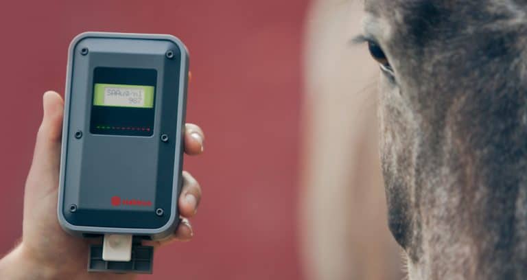 Zoetis’ new Stablelab detects equine infections