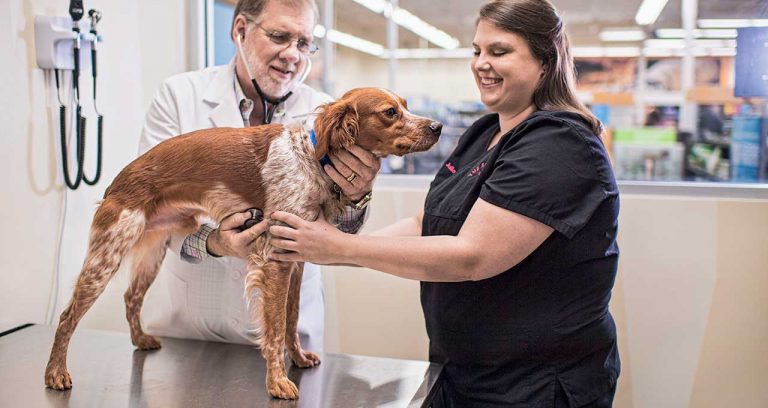 Petco plans 55 more in-store vet clinics