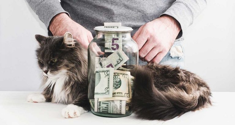 Pet owners find a way to pay for emergencies