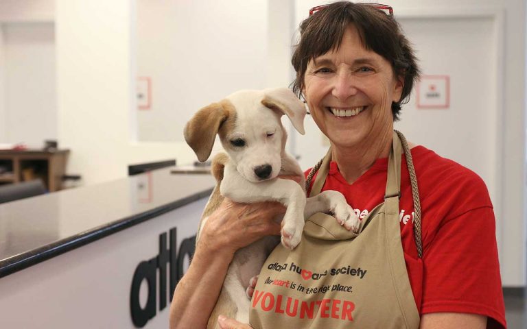 Boehringer Ingelheim funds Georgia pet adoption center