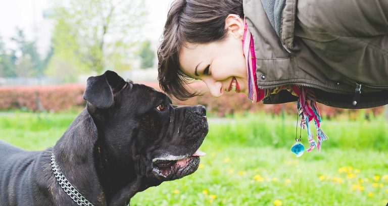 Survey: Millennials highly value their pet’s life