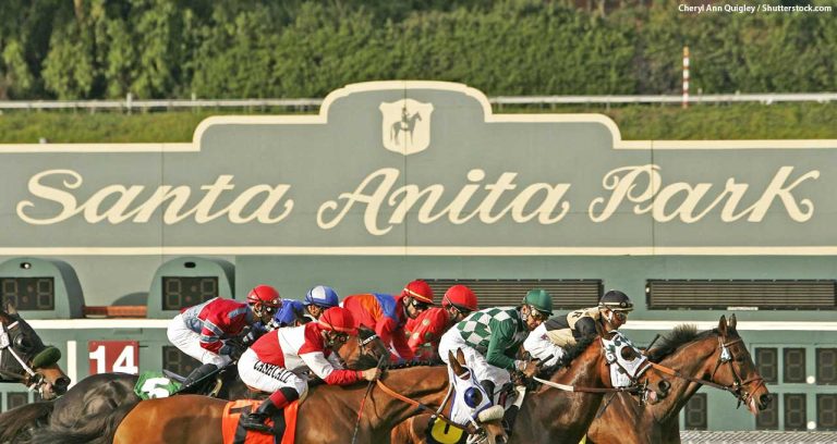 Veterinary team to oversee Santa Anita racehorses