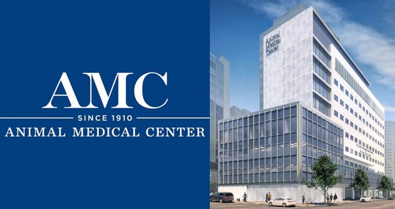 N.Y. veterinary hospital raises $43 million