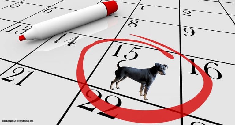Banfield Clients Can Make Vet Tech Appointments