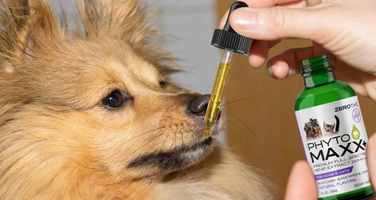 ANP launches liquid hemp extract for pets