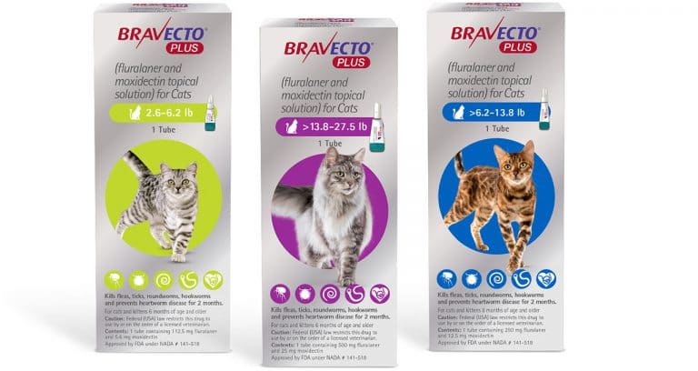 FDA approves broad-spectrum Bravecto Plus for cats