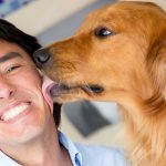 dog owners