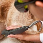 laser therapy
