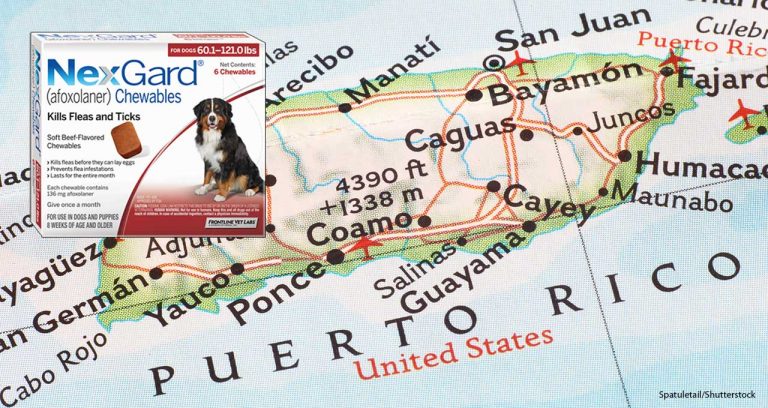 BI’s NexGard will be made in Puerto Rico