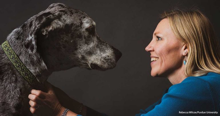 Dog Aging Project needs more canine participants