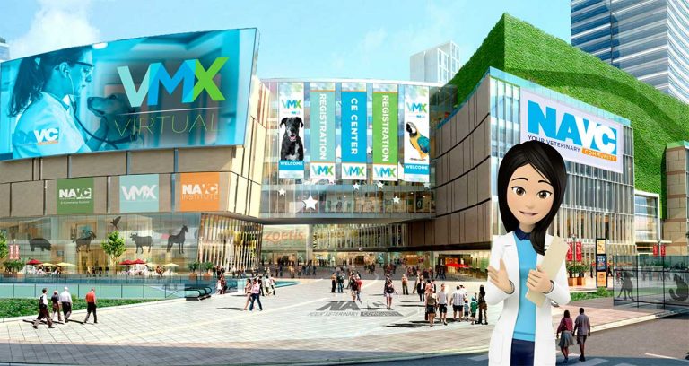 NAVC launches VMX Virtual expo hall