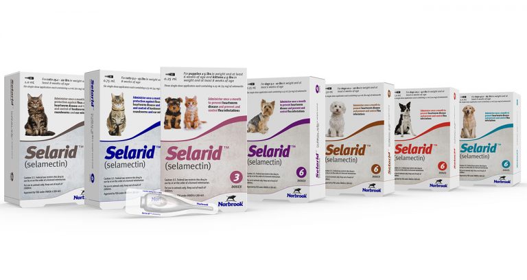 Norbrook Launches Topical Parasiticide for Dogs and Cats