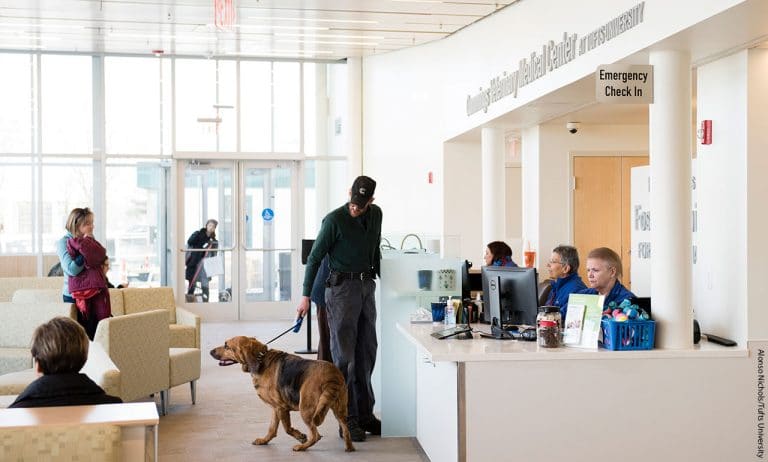 Tufts Hospital Earns VECCS Recognition