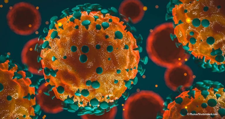 SAVMA Calls Off Symposium due to Coronavirus