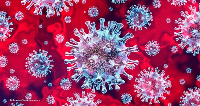 Two N.Y. Cats Test Positive for Novel Coronavirus