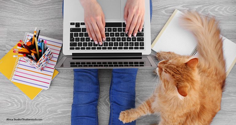 Online Is King in Pet Product Sales