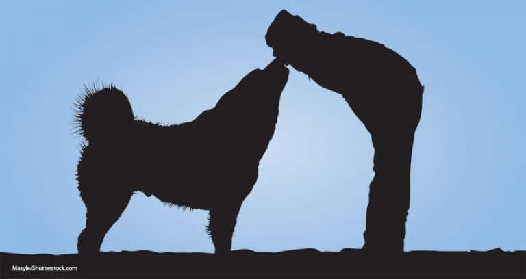 Nationwide Becomes Human-Animal Bond Certified Company