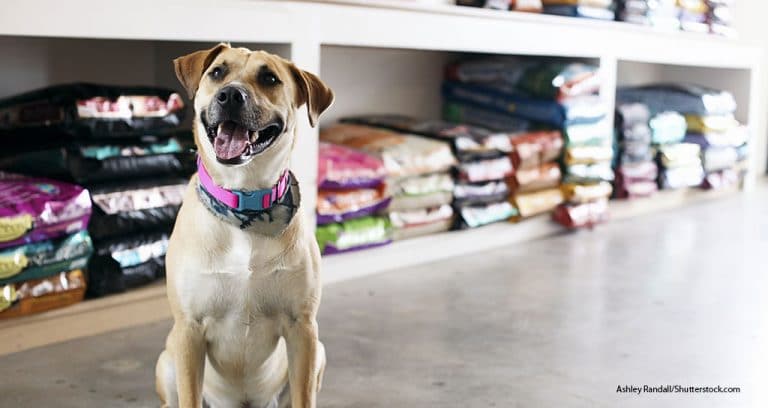 PIJAC: Pet Stores Are ‘Essential’ During Crisis