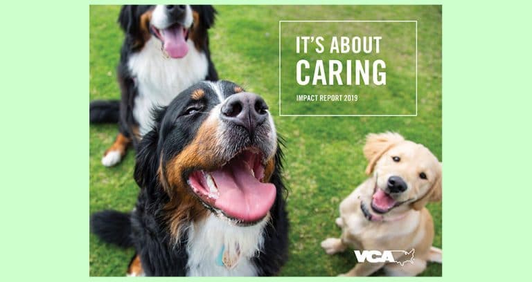 By the Numbers: VCA Hospitals in 2019