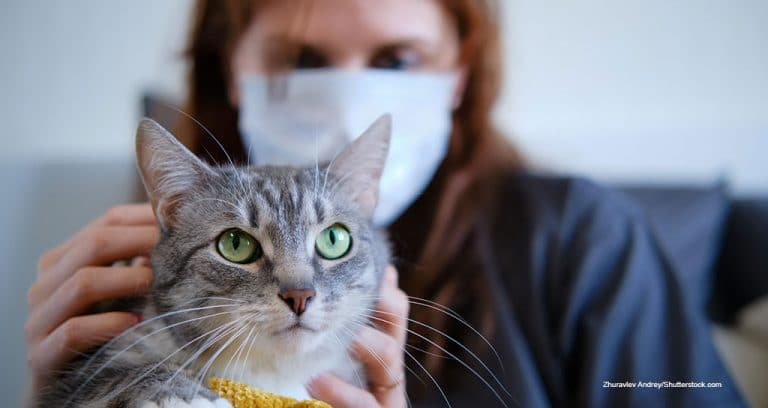 New from Idexx: COVID-19 Pet Test