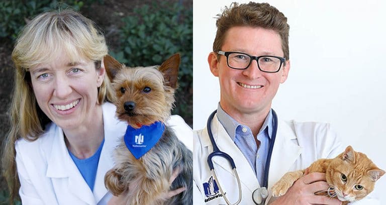 Nationwide Welcomes New Chief Veterinary Officer
