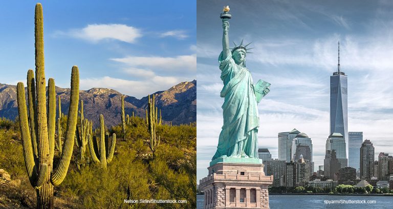 110 Students Earn Entry into Arizona DVM Program