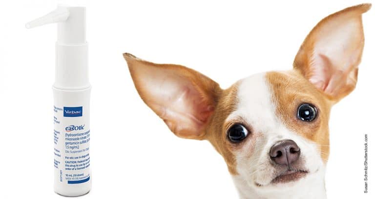 Virbac unveils Easotic ear infection fighter