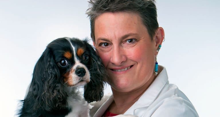 AVMA honors 2 veterinarians and professor