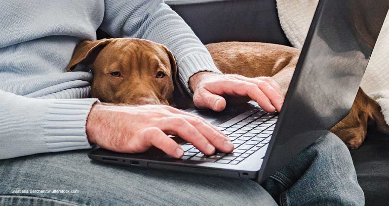 Telemedicine and You